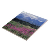 Carreau Amérique du Nord, Canada, Yukon. Fleurs de mauvais (Côté)