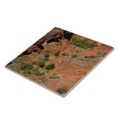 Carreau Amérique du Nord, États-Unis, Arizona, Navajo Indi (Côté)