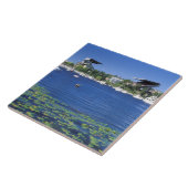 Carreau Amérique du Nord, États-Unis, État de Washington,  (Côté)