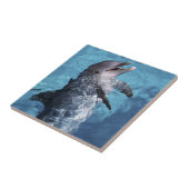 Carreau Amérique du Nord, USA, Hawaï. Dauphin (Côté)