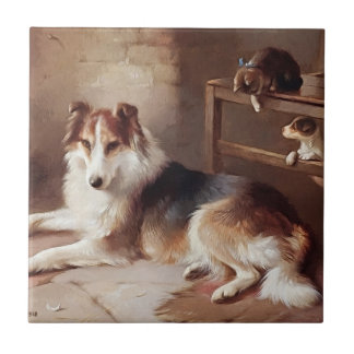 Carreau Amis - chaton de chien - chiot