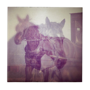 Carreau Amish chevaux collage numérique