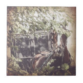 Carreau amish Waiting Horse (Devant)