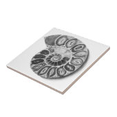 Carreau Ammonite (Côté)