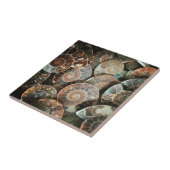 Carreau Ammonite (Côté)