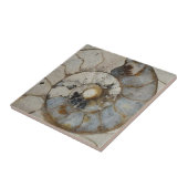 Carreau ammonite de calcaire (Côté)