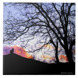 Carreau "Amour au coucher du soleil : Perte tuile