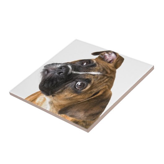 Carreau Amour de boxeur (Côté)