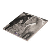 Carreau Amour de cheval (Côté)