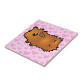 Carreau Amour de cobaye (délabré) (Côté)