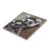 Carreau **"Amour de la mère : Mummy and Baby Lemur Cuddlin (Côté)