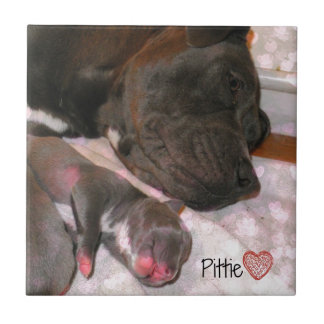 Carreau Amour de Pittie