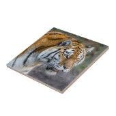 Carreau Amur tiger (Côté)