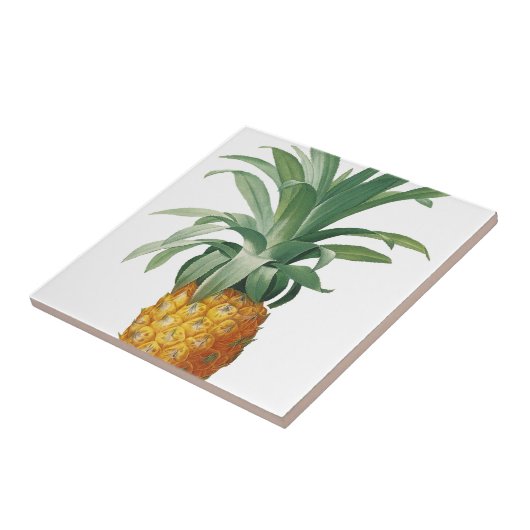Carreau Ananas (Côté)