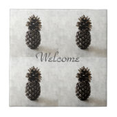 Carreau Ananas Traditionnel Bienvenue Gris (Devant)