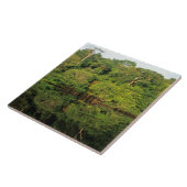 Carreau Anavilhanas, Amazonas, Brésil. Rivière de la forêt (Côté)