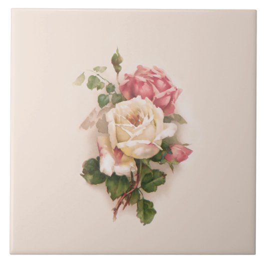 Carreau Ancien Arrière - plan blanc/rose Roses-Buff (Devant)