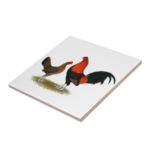 Carreau Ancien jeu anglais Bantams :  Paire rouge BB
