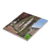 Carreau Ancienne abbaye de Tintern, monastère cistercien,  (Côté)