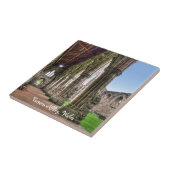 Carreau Ancienne abbaye de Tintern, monastère cistercien,  (Côté)