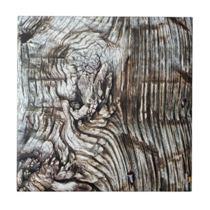 CARREAU ANCIENNE ANGLETERRE