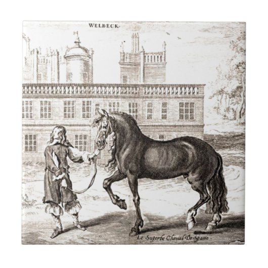 Carreau Andalou PRE Horse Vintage Engraving Art (Devant)