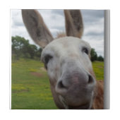 Carreau Andy (Devant)