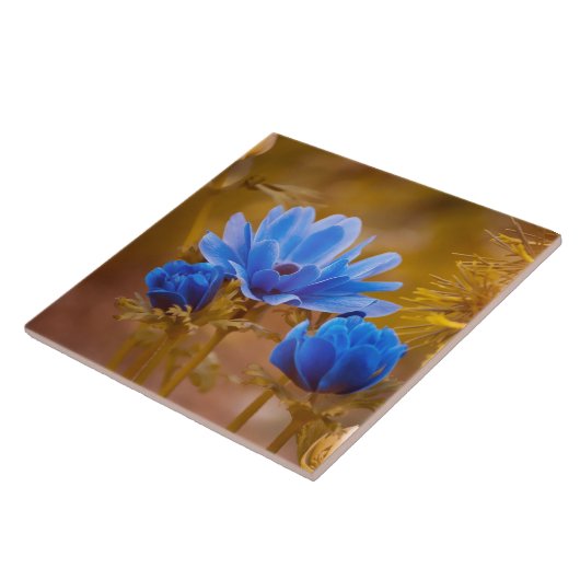 Carreau Anémones bleues (Côté)