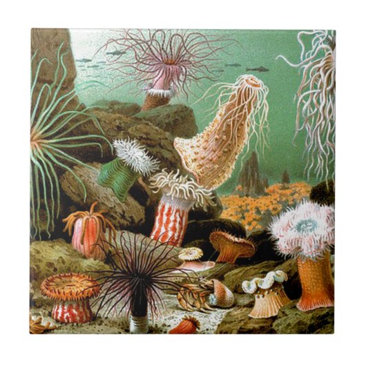 Carreau Anémones de mer sous l'eau (Devant)