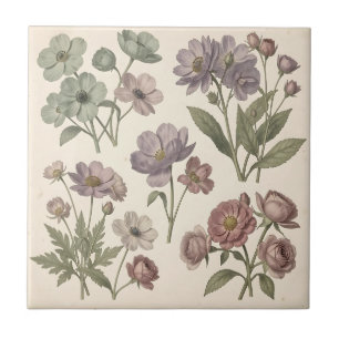 Carreau Anémones Roses Pastel Vintage Botanique Douce