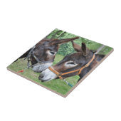 Carreau Ânes touchant des nez (Côté)