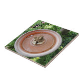 Carreau Ange dans la tuile de Bath d'oiseau (Côté)