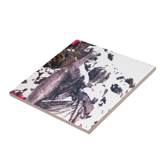 Carreau Ange d'hiver (Côté)