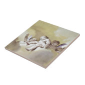 Carreau Anges (Côté)