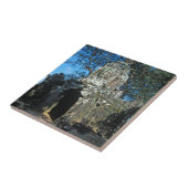 Carreau Angkor wat, temple Ta som - Cambodge, Asie (Côté)