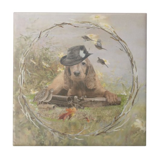 Carreau Anglais Cocker Spaniel (Devant)