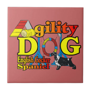 Carreau Anglais Cocker Spaniel Agilité