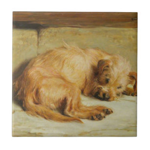 Carreau Anglais Cocker Spaniel Dog (par Briton Rivière)