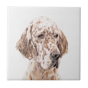 Carreau Anglais Setter Orange Belton Peinture Chien Art