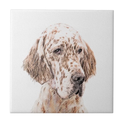 Carreau Anglais Setter Orange Belton Peinture Chien Art (Devant)