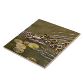 Carreau Animal - Ducks - Swim like a duck (Côté)