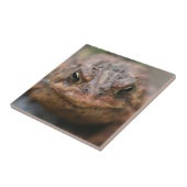 Carreau Animal mignon Visage de crapaud (Côté)