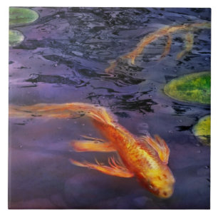Carreau Animal - Poisson - Il y a quelque chose à propos d