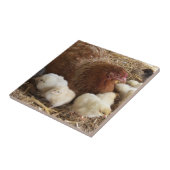 Carreau animal, poulet, ferme, mignonette, oiseau, bébé, (Côté)