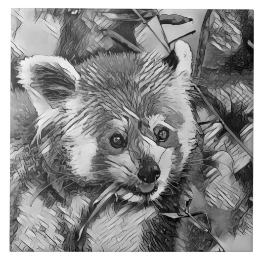 Carreau AnimalArtBW_RedPanda_003 (Devant)