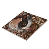 Carreau AnimalMix_Lapin_005 (Côté)