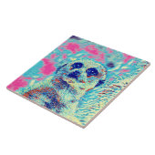 Carreau AnimalMix_Meerkat_008 (Côté)