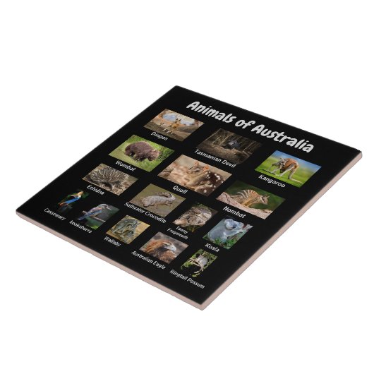 Carreau Animaux d'Australie (Côté)