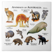 Carreau Animaux d'Australie (Devant)