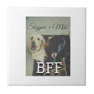Carreau Animaux de compagnie amis besties ajouter nom anim